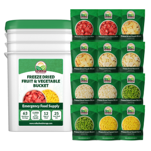 Freeze Dried Fruit & Vegetable Bucket (30% OFF) - Valley Food Storage