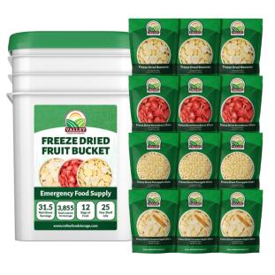 Freeze-dried Fruit Bucket | Order a Freeze-dried Fruit Bucket Online - Valley Food Storage